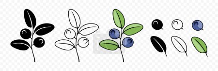 Blueberry, myrtille, canneberge et whortleberry, graphisme. Baies, hurtleberry, blaeberry, nourriture et nature, design vectoriel et illustration