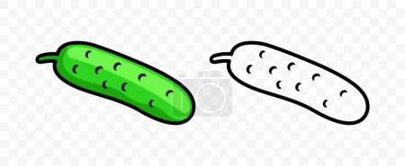 Cucumber, pickle, vegetable, graphic design. Gherkins and plant, fruit, food and meal, nourishment, vector design and illustration