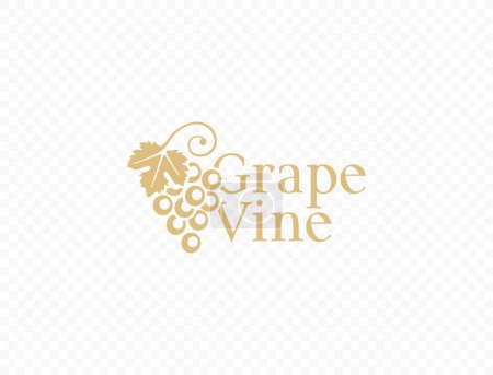 Téléchargez les illustrations : Grapevine avec logo vecteur feuille de raisin. Graphisme suspendus raisins - en licence libre de droit