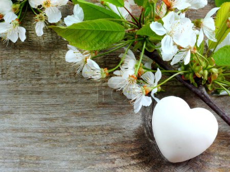Téléchargez les photos : Coeur blanc avec fleurs de cerisier sur fond en bois avec espace pour le texte - en image libre de droit