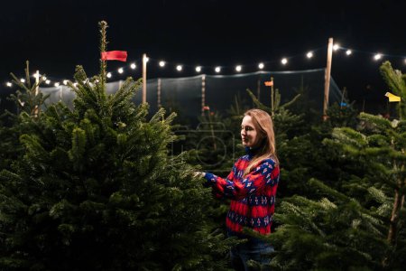 A young woman in a sweater chooses a Christmas fir tree for the New Year holidays. Concept of winter market and preparation for Christmas