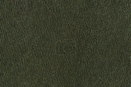 Photo for Close-up texture of green knitted fabric stretching. Image for your design - Royalty Free Image