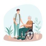 nurse for people with disabilities, accompanying an elderly person in a wheelchair