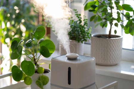 Téléchargez les photos : Modern cool-mist humidifier for indoor plants. Steam vaporizer working inside house, moisturizing dry air at home, standing near green houseplants. Humidity in apartment and plantcare concept - en image libre de droit