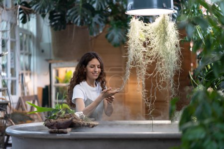 Photo for Happy young woman gardener taking care about aquatic plant in greenhouse, holding houseplant under freestanding bath with water, touching green leaves. Greenery at home garden, love for plants, hobby. - Royalty Free Image