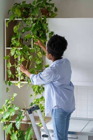 Photo for Plant care. African American woman gardener holding houseplant twig and looking at petals standing near wall cabinet. Black girl loves house flowers and decorates home with living natural decorations - Royalty Free Image