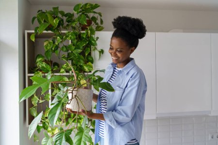 Foto de Feliz joven africana sonriente sosteniendo macetas de plantas de Philodendron tocando hojas verdes, manteniendo las plantas de interior sanas, complacida hembra negra disfrutando de la jardinería en casa. Concepto de cuidado de plantas interiores - Imagen libre de derechos