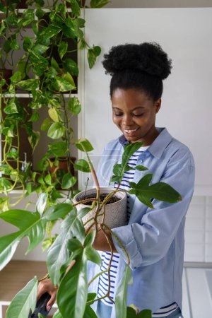 Téléchargez les photos : Jeune femme afro-américaine avec un large sourire tient plante maison et examine Philodendron fleur. Fille noire debout à l'intérieur à côté de l'armoire murale se laisser emporter avec passe-temps de la floriculture - en image libre de droit