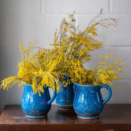Foto de Ramillete de flores de Mimosa en jarrón de cerámica vintage azul sobre pared blanca en casa. Manojo de primavera con Acacia dealbata en superficie de madera, enfoque suave. 8 de marzo, concepto de Pascua - Imagen libre de derechos