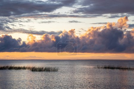 Téléchargez les photos : Calme au bord du lac au coucher du soleil en soirée d'été. Bord de mer herbeux dans la soirée contre un ciel nuageux au coucher du soleil. - en image libre de droit
