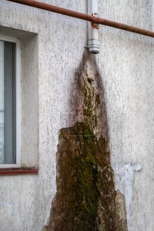 Téléchargez les photos : Moule, lichen, champignon sur les murs du bâtiment à l'extérieur, fuites d'eau sur les murs causant des dommages, détérioration rapide de la maison. Climat humide, concept d'humidité élevée et excessive. - en image libre de droit