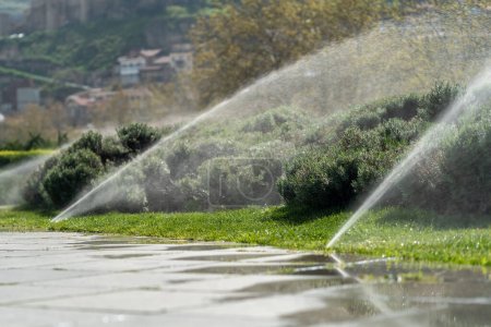 Photo for Automatic sprinkler system watering the lawn. Irrigation for plants in public park and city centre. Watering grass for fresh growth. Moisturising cleansing air hygiene. Eco friendly, healthy, wellness - Royalty Free Image