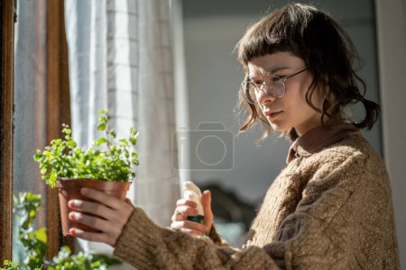 Photo for Millennial woman plant lover dealing with houseplant pests, misting potted indoor plant at home. teenage girl taking care of plants. Indoor garden hobby, stress relieving activity - Royalty Free Image