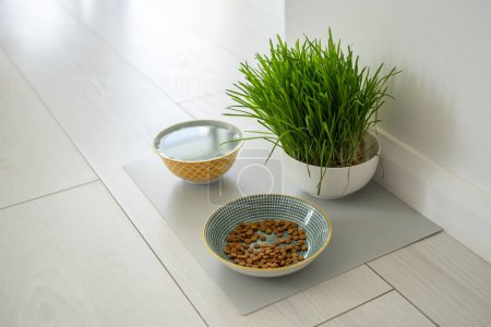 Photo for Bowls with cat food and water for pet on the floor at home. Dog fresh green grass in white bowl. Vitamins, feeding and pets care concept. - Royalty Free Image