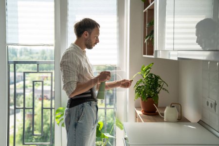 Photo for Man in sick leave taking care houseplants at home on kitchen wearing back support belt corset on lower back to treatment of hernia, relieve stress on spine, postoperative recovery. Back pain problems. - Royalty Free Image