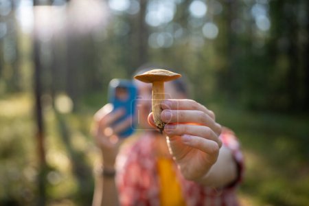 Photo for Taking picture of mushroom in woods with smartphone. Autumn holiday with nature. Finds in forest, mushroom in hand with blurred hiker with mobile phone using app to identify mushroom. Picking season. - Royalty Free Image