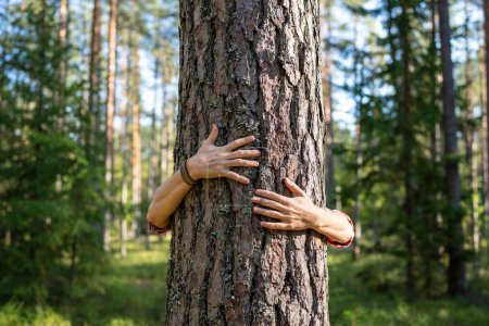 Photo for Hands embrace trees in forest for feels natural energy. Ecology concept, nature conservation, problem of human intervention, deforestation. Bark of tree as symbol of preserving integrity of nature - Royalty Free Image