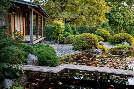 Photo for Traditional Japanese tea house with pond with fallen leaves, wooden bridge, garden with picturesque stones and lush green bushes. Autumn season. - Royalty Free Image