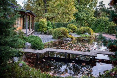 Téléchargez les photos : Maison de thé traditionnelle japonaise avec étang aux feuilles tombées, pont en bois, jardin avec des pierres pittoresques et des buissons verts luxuriants. Saison d'automne. - en image libre de droit