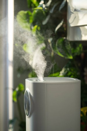 Photo for Closeup of humidifier at home, moistens dry air surrounded by houseplant, soft focus on steam. Plant care. Humidification, comfortable living conditions. Diffuser, climate equipment for apartment. - Royalty Free Image