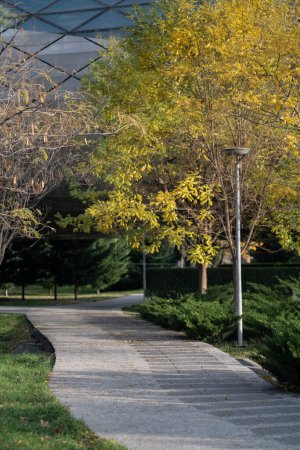 Téléchargez les photos : Parc botanique d'automne avec un large sentier pour la marche et des arbres partiellement couverts de feuilles jaunies. Jardin désert de la ville avec des buissons de thuja garnis de conifères et de hautes lanternes pour l'éclairage - en image libre de droit