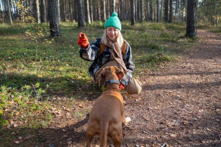 Photo for Smiling middle-aged pet owner interested in dog training spending pastime in pine forest. Female with scandinavian appearance engrossed in playing, giving commands to pedigree magyar vizsla puppy - Royalty Free Image