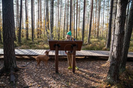 Photo for Interested scandinavian pet owner reading information board in reserve while resting during hiking in pine forest near wooden walkway. Spending freetime in intact nature with hound dog magyar vizsla - Royalty Free Image