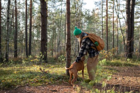 Photo for Happy joyful middle-aged pet owner spending pastime in pine forest hiking, walking with dog. Female playing, training pedigree magyar vizsla puppy. Recreation in wild scandinavian intact nature - Royalty Free Image