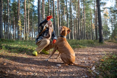 Photo for Woman training dog teaching sit command holding food in hand walking in pine tree forest. Middle aged pet owner spending time with dog on nature in autumn park. Pet education maintenance concept. - Royalty Free Image