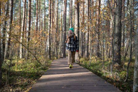 Téléchargez les photos : Femme voyageur touristique marchant sur l'écotrope dans la forêt de pins scandinave profiter du parc naturel. Femme d'âge moyen détendue explorant les bois. Activité de plein air, tourisme voyage wanderlust concept. - en image libre de droit