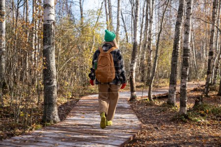 Téléchargez les photos : Femme marchant dans le parc d'automne en Scandinavie sur écotrope avec sentier en bois, vue arrière. Femme d'âge moyen appréciant la randonnée dans la forêt, la nature du nord de l'Europe. Voyages, tourisme, aventures. - en image libre de droit