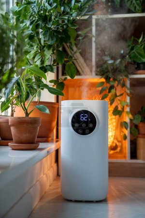 Photo for Ultrasonic humidifier with sensor near windowsill with potted houseplants spraying water vapor steam. Modern humidifier creating comfortable atmosphere for plants, pets, people indoors - Royalty Free Image
