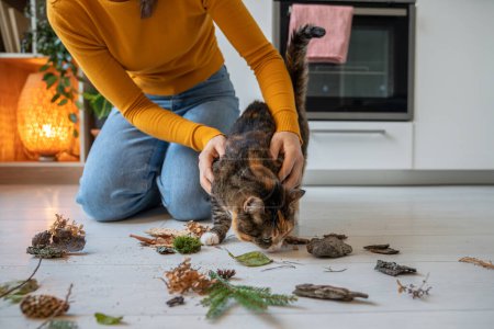 Photo for Pet owner woman learning with cat different smells using plants at home sitting on floor. Curious playful cat sniffing branch, leaves, dry flowers, moss. Entertainment, caring domestic pets concept. - Royalty Free Image