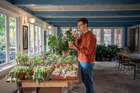 Photo for Interested man choosing houseplant in cozy private flower shop selling decorative plants. Concentrated guy holding smartphone, making photos, using mobile application for learning names, species - Royalty Free Image
