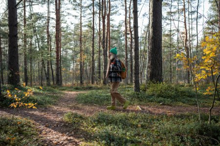 Photo for Carefree middle-aged woman tourist hiking, walking in pine wood, spending pastime, holiday, vacation, weekend in forest. Healthy active lifestyle, recreation and relaxation in wild intact nature - Royalty Free Image