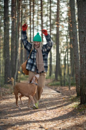 Photo for Smiling happy middle-aged pet owner playing, training pedigree magyar vizsla puppy in forest. Joyful dog jumping, running around woman. Spending pastime in scandinavian wood with beloved adorable pet - Royalty Free Image