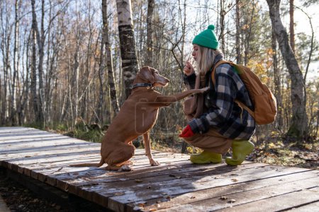Photo for Loving pet owner sitting on haunches on wooden walkway, training purebred dog magyar vizsla. Slim long-eared puppy giving paw to woman. Spending pastime in nature with beloved domestic animals - Royalty Free Image
