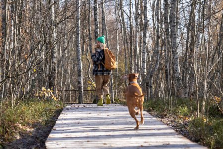 Happy woman running with dog enjoy nature on eco wooden trail in Scandinavian nature park rear view. Positive pet owner traveling with dog together. Friendship tourism in northern Europe, wanderlust.