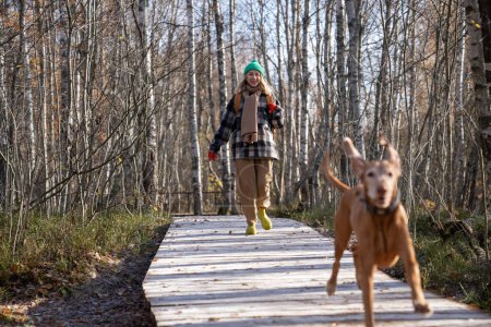 Happy dog running with owner woman on wooden eco trail in Scandinavian nature park in forest. Positive pet owner travel with dog. Tourism in northern Europe, wanderlust. Stress relieve on fresh air.