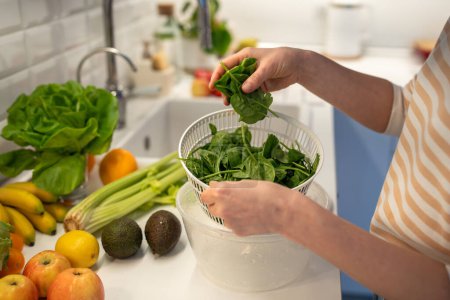 Foto de Las mujeres veganas manos ponen las espinacas verdes en la centrifugadora secadora de plástico. Apio, aguacates, manzanas, naranjas yacen en la mesa de la cocina. Frutas y verduras frescas para el control de peso, pérdida de peso y bienestar. - Imagen libre de derechos