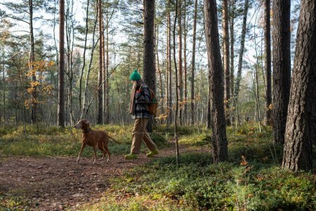 Téléchargez les photos : Femme propriétaire d'animal de compagnie passer du temps dans la forêt de pins randonnée, marche avec chien de chasse magyar vizsla. Loisirs dans la nature sauvage, vie lente. - en image libre de droit