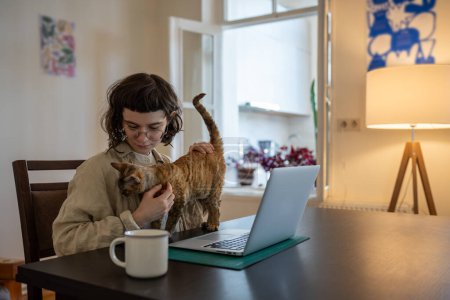Loving pet owner stroking cat distract from distant work on laptop. Caring student girl take break from online study petting enjoy communication with cat on desk. Domestic animals lover at cozy home.