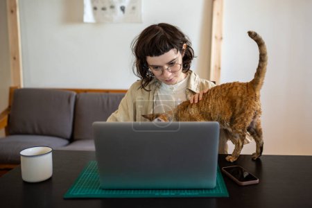 Photo for Curious cat looks at screen owner laptop on desk at home. Girl distracting from work or study on computer stroking petting pet begging attention. Usual life of people work on freelance, digital nomad - Royalty Free Image
