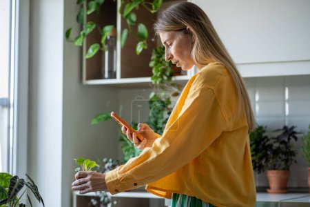 Concentrated woman making photo with smartphone, looking for plant in mobile application, reading information about care, characteristics, sharing photos with florist, botanist for expert commentary