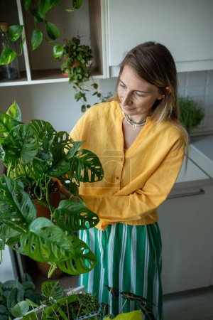 Interested woman caring for Monstera Monkey engrossed in nurturing process, waters, trims, tends to houseplants with passion. Surrounded by lush array of plants female create oasis in living space. 