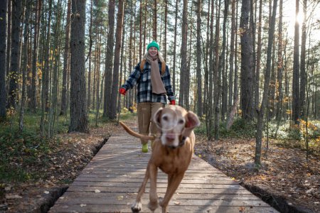 Photo for Laughing merry middle-aged woman pet owner running on wooden walkway, trying to catch beloved purebred dog magyar vizsla, while playing, dog training, resting in pine forest. Spending pastime with pet - Royalty Free Image