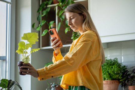 Foto de Mujer tomando una foto de la planta de Philodendron en maceta en el teléfono inteligente en el jardín en casa. Vender plantas de interior en línea, rentabilizar el hobby verde, crear contenido para un blog en línea en el sitio web. - Imagen libre de derechos