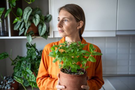Woman holding grown at home mint bush in flowerpot in hands on kitchen. Gardener amateur plant lover female growing edible fresh herbs. House planting, gardening eco products ingredients for cuisine.