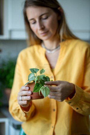 Photo for Smiling florist woman passionate botany holds tropical small Scindapsus plant, examines leaves, selective focus. Female favorite hobby growing unique exotic houseplants at home. - Royalty Free Image