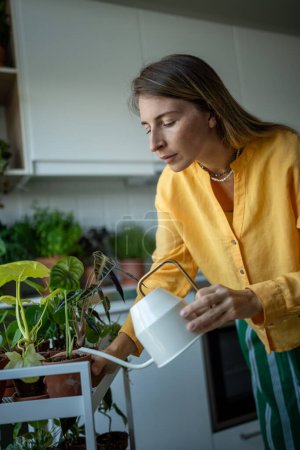 Attentive florist woman, plant lover taking care of potted houseplants at home, pouring flowers with water from metal watering can. Botany hobby giving stress relief, mental relaxation, satisfaction